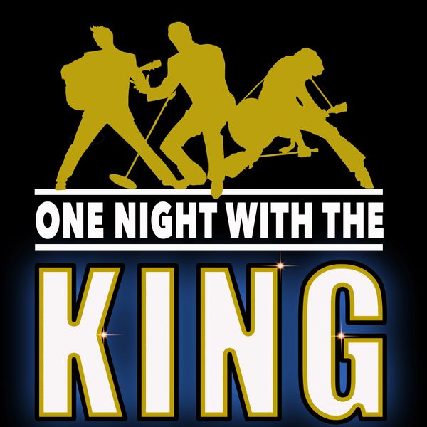 One Night With the King